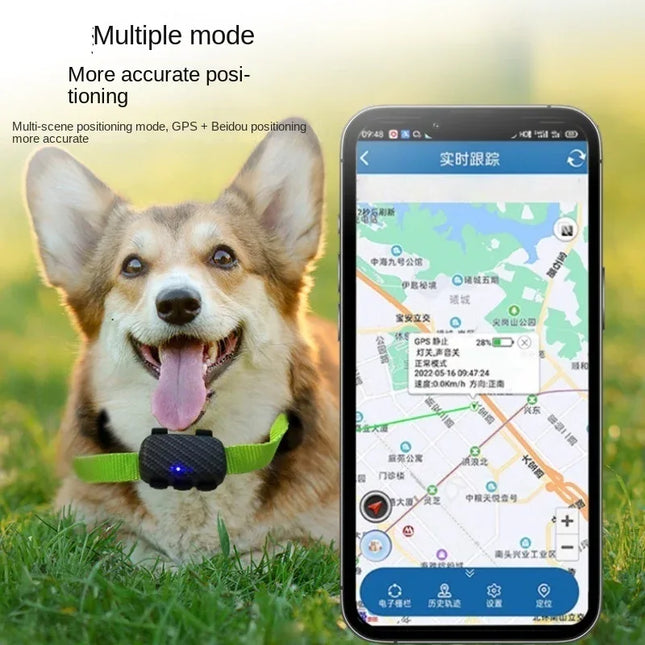 Nuevo producto para mascotas, rastreador GPS 4G con posicionamiento preciso, carga por adsorción magnética, impermeable y ajustable para perros y gato - tugranalmacen.com