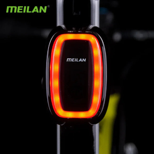 Bicycle Intelligent Brake Tail Light X6 Brake Induction 7-Speed Flashing Riding Warning Night Riding Light - tugranalmacen.com