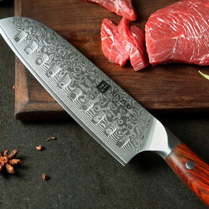 Juego de 4 cuchillos de cocina XINZUO, núcleo VG10, acero de Damasco - tugranalmacen.com