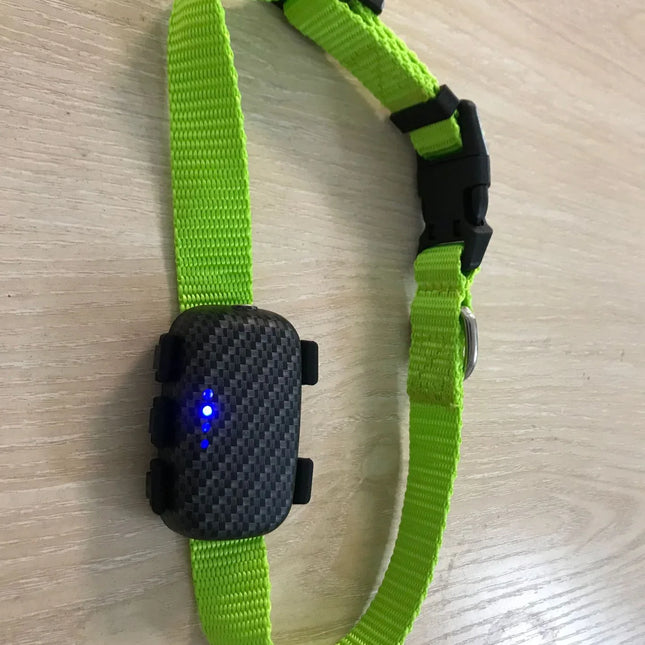 Nuevo producto para mascotas, rastreador GPS 4G con posicionamiento preciso, carga por adsorción magnética, impermeable y ajustable para perros y gato - tugranalmacen.com